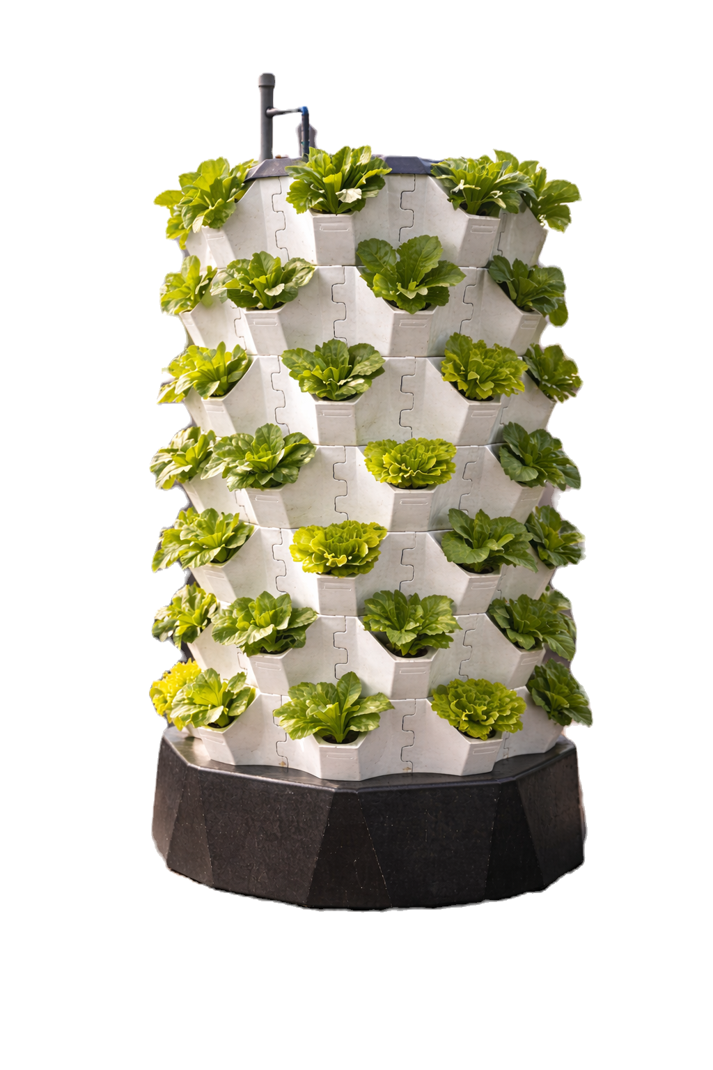 ChatGPT Image Mar 22, 2026, 01_30_16 PM_edited.png