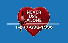 Never User Alone Logo.webp