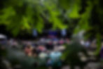 LCMF Crowd Through Leaves.jpg