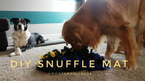 Diy Snuffle Mat