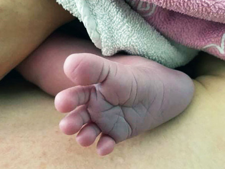 Üdvözöljük legfiatalabb tagunkat!