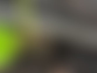 発根がいまいち。。
