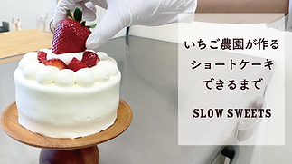 いちごができるまで SweetsHP用_アートボード 1.png