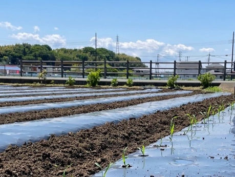 【生産者インタビュー特別編】Slow Farmの野菜
