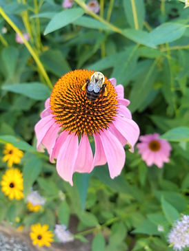 20180710_104324.jpg