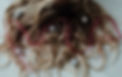 KMD_1123-Enhanced-NR.jpg