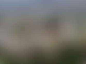 How to get into UCLA/UC Berkeley