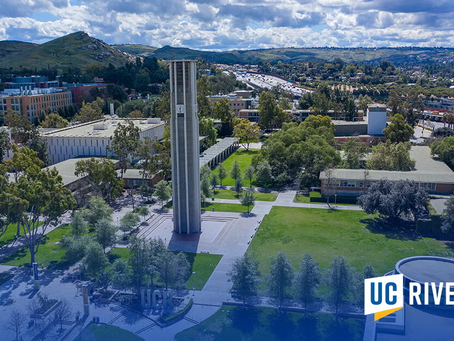 UC Hidden Gems and Who They're For