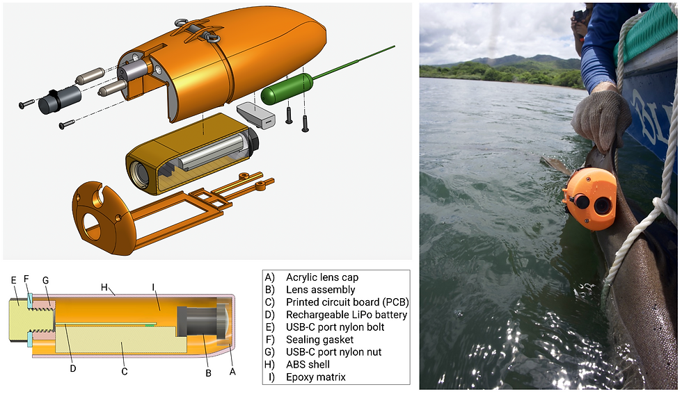 Screenshot 2025-10-23 at 1.49.02 AM.png