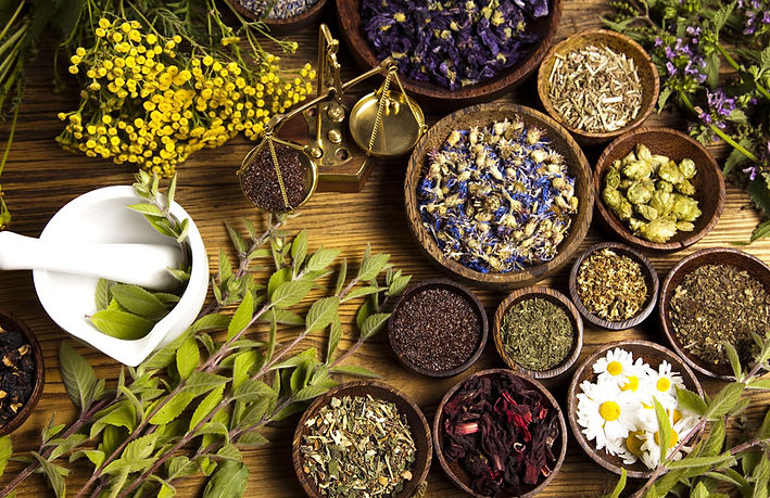 60f6e86d0f2dd9643b2433e3_Herbal-Medicine.jpg