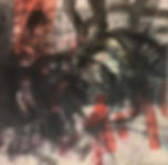 fullsizeoutput_184a.jpeg