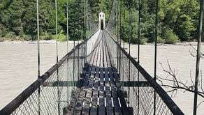 Forecast 2025 - 2026: Vanishing Point