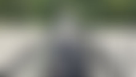 Forecast 2025 - 2026: Vanishing Point