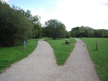 Parallel Paths