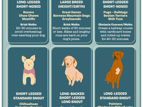Check out this simple daily exercise guide for your dog!