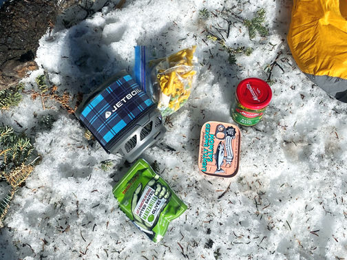 Backpack Salmon Pesto Pasta