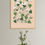 Thumbnail: Botanical Collection 20