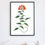 Thumbnail: Botanical Collection 46
