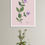 Thumbnail: Botanical Collection 17