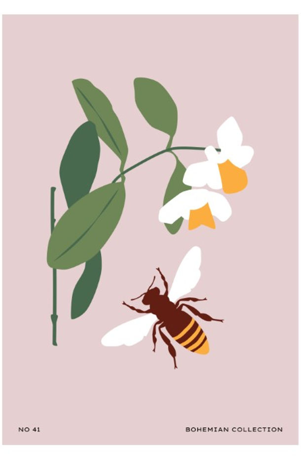 Thumbnail: Botanical Collection 31