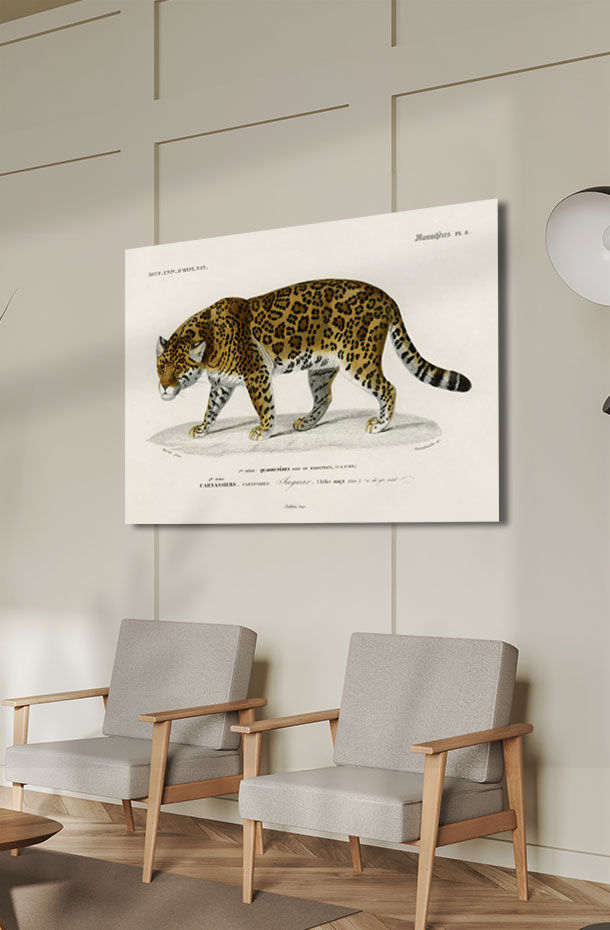 Animal Art_56.jpg