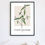 Thumbnail: Botanical Collection 53