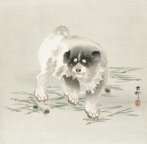 Thumbnail: Animal Art_480.jpg