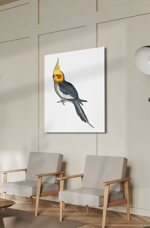 Animal Art_550.jpg