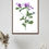 Thumbnail: Botanical Collection 8