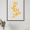Thumbnail: Gallery Collection 33