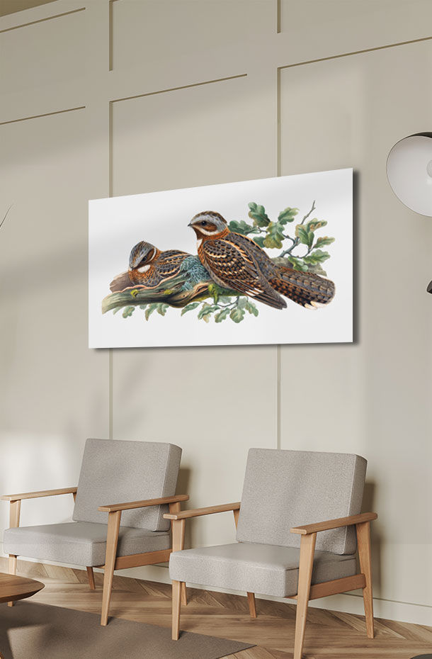 Animal Art_120.jpg