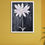 Thumbnail: Eclectic No.152