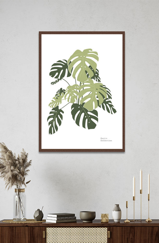 Tropical Collection  3