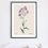 Thumbnail: Botanical Collection 45