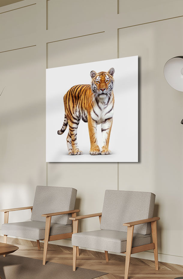 Animal Art_213.jpg