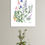 Thumbnail: Botanical Collection 10
