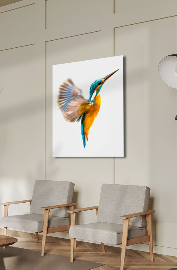 Animal Art_18.jpg