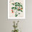 Thumbnail: Botanical Collection 69