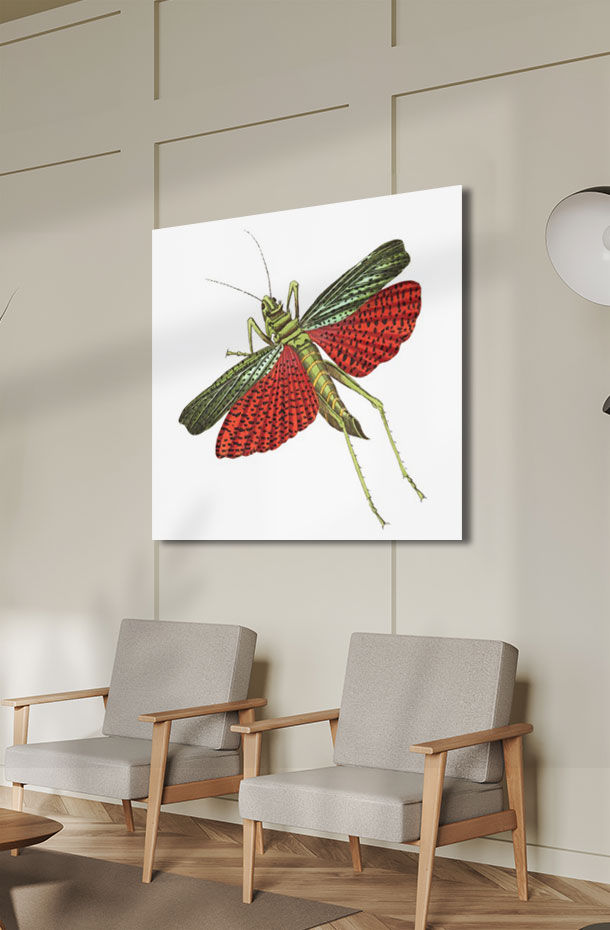 Animal Art_91.jpg
