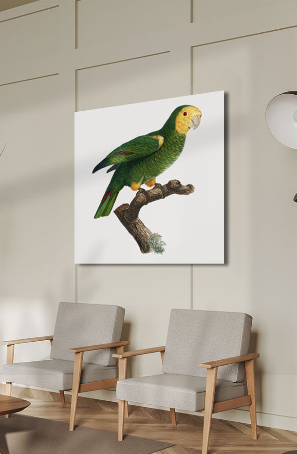 Animal Art_428.jpg