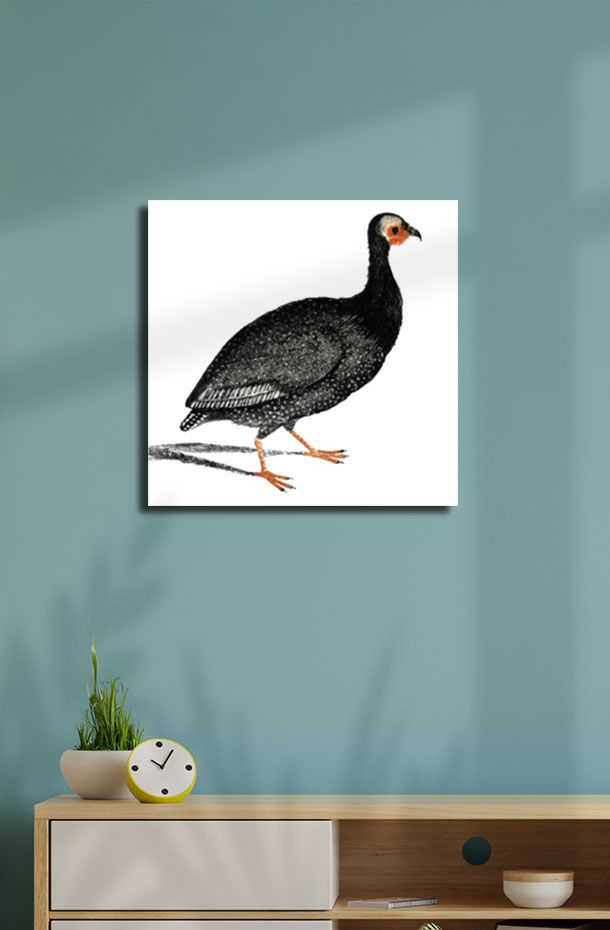 Thumbnail: Animal Art_526.jpg