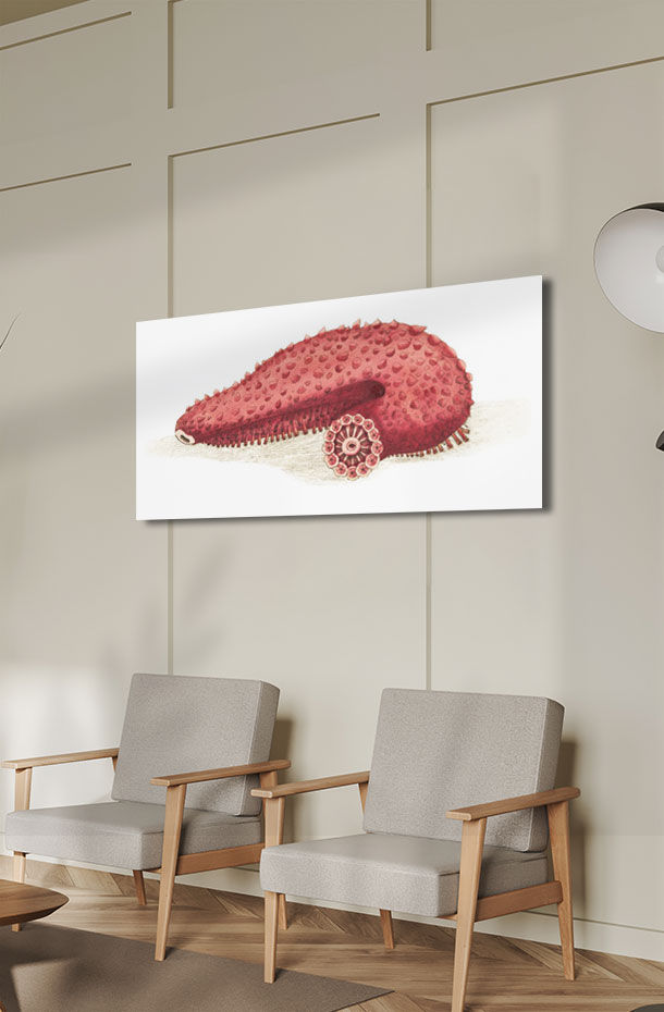 Animal Art_9.jpg