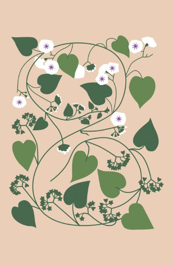Thumbnail: Botanical Collection 20