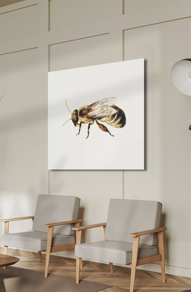 Animal Art_444.jpg