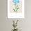 Thumbnail: Botanical Collection 40