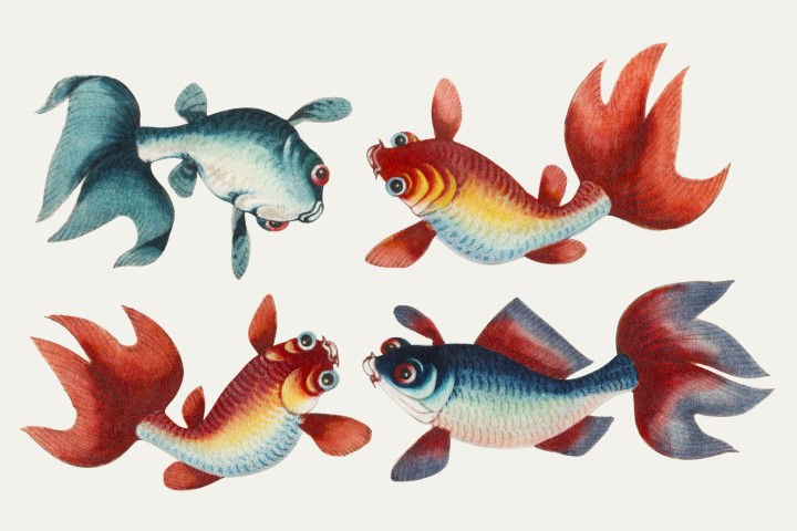 Thumbnail: Animal Art_419.jpg