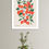 Thumbnail: Botanical Collection 30