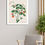 Thumbnail: Botanical Collection 69