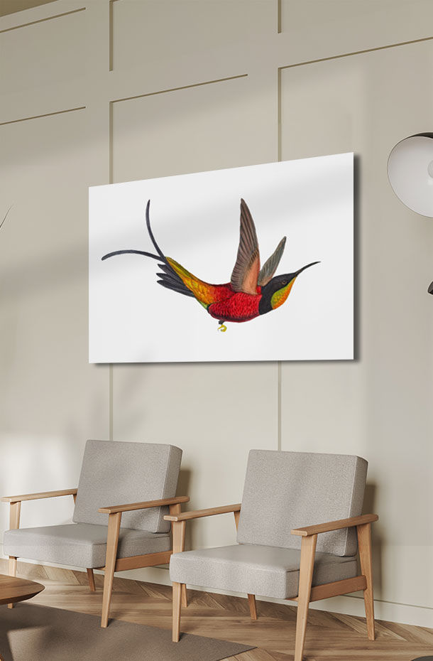Animal Art_124.jpg