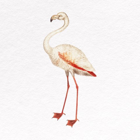 Thumbnail: Animal Art_123.jpg